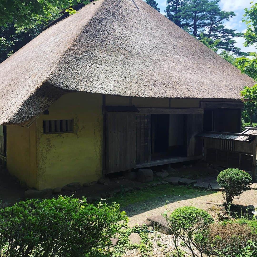 布袋寅泰さんのインスタグラム写真 - (布袋寅泰Instagram)「Discovery Japan みちのく民俗村へ。日本人のDNAに刻まれた遠い記憶が蘇る。ここも時間があればまたゆっくり訪れたい。美しい野生の百合。紫陽花も青々しく。何故か有森裕子さん。この山道走ってたんですか？説明を聞くもみちのく弁、さっぱりわからず。ヤギーメイ。そして須藤マネージャー、迷わずコマネチ。#みちのく民俗村 #北上」7月28日 13時46分 - hotei_official