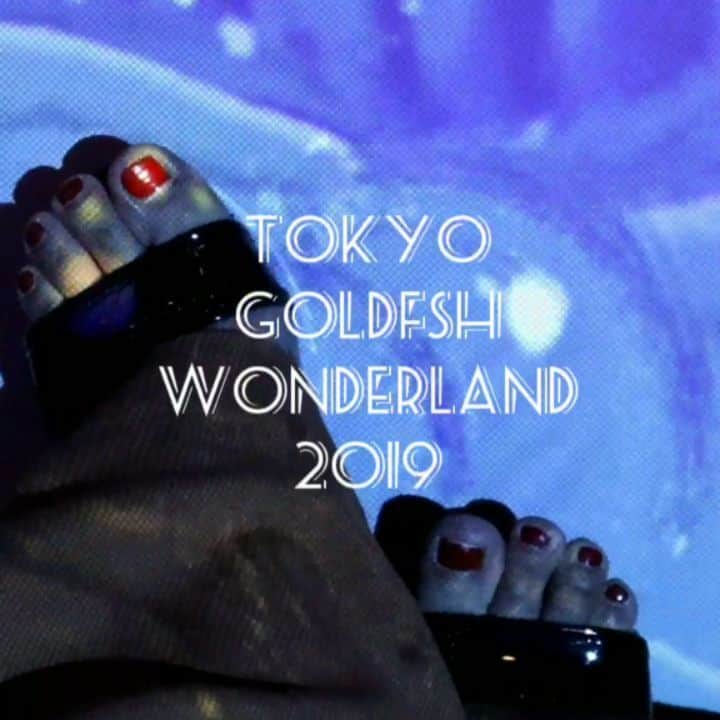 のインスタグラム：「🐠🐠🐠 ． レトロな空間がかわいい💓 すみだ水族館の「東京金魚ワンダーランド2019」 ． 金魚がゆるゆる泳いでる姿って涼しげ😌 ． 水族館に行ってから、スカイツリーでお買い物したり、食事したりするのもいいかも💓 ． ． #すみだ水族館 #金魚  #金魚ワンダーランド2019 #海#ペンギン#水族館#夏祭り#夏休み#写真好き#swim#fish #summer#スカイツリー #浅草#浅草デート#旅 #旅好き#浅草巡り#旅行 #東京観光#東京#tokyo#japan」
