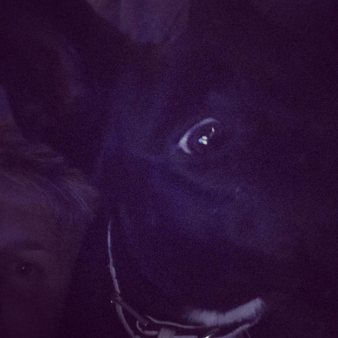 マイケル・グラント・テリーのインスタグラム：「We’re watching “the descent.” It’s my 5th time. Still my favorite horror movie... scares the fuck out of me EVERY time. His first. Sorry @pejvahdat he might be a little traumatized... and I know you don’t like horror.」
