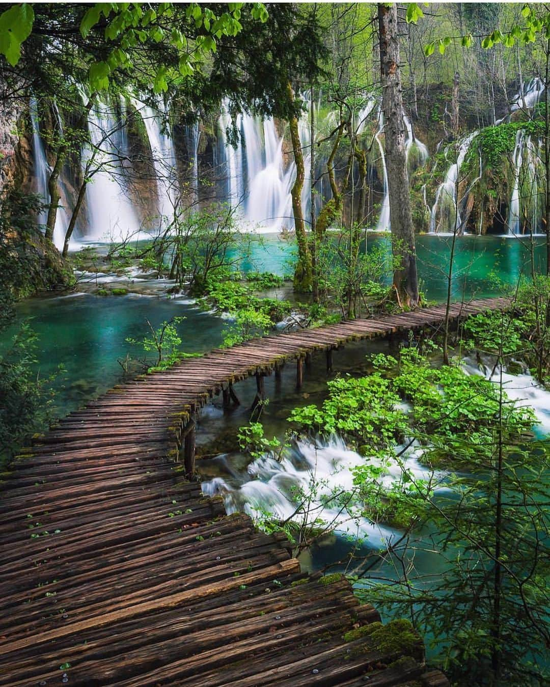 Earth Picsさんのインスタグラム写真 - (Earth PicsInstagram)「Plitvice Lake National Park, Croatia 🇭🇷 by @michaelmatti」7月28日 14時16分 - earthpix