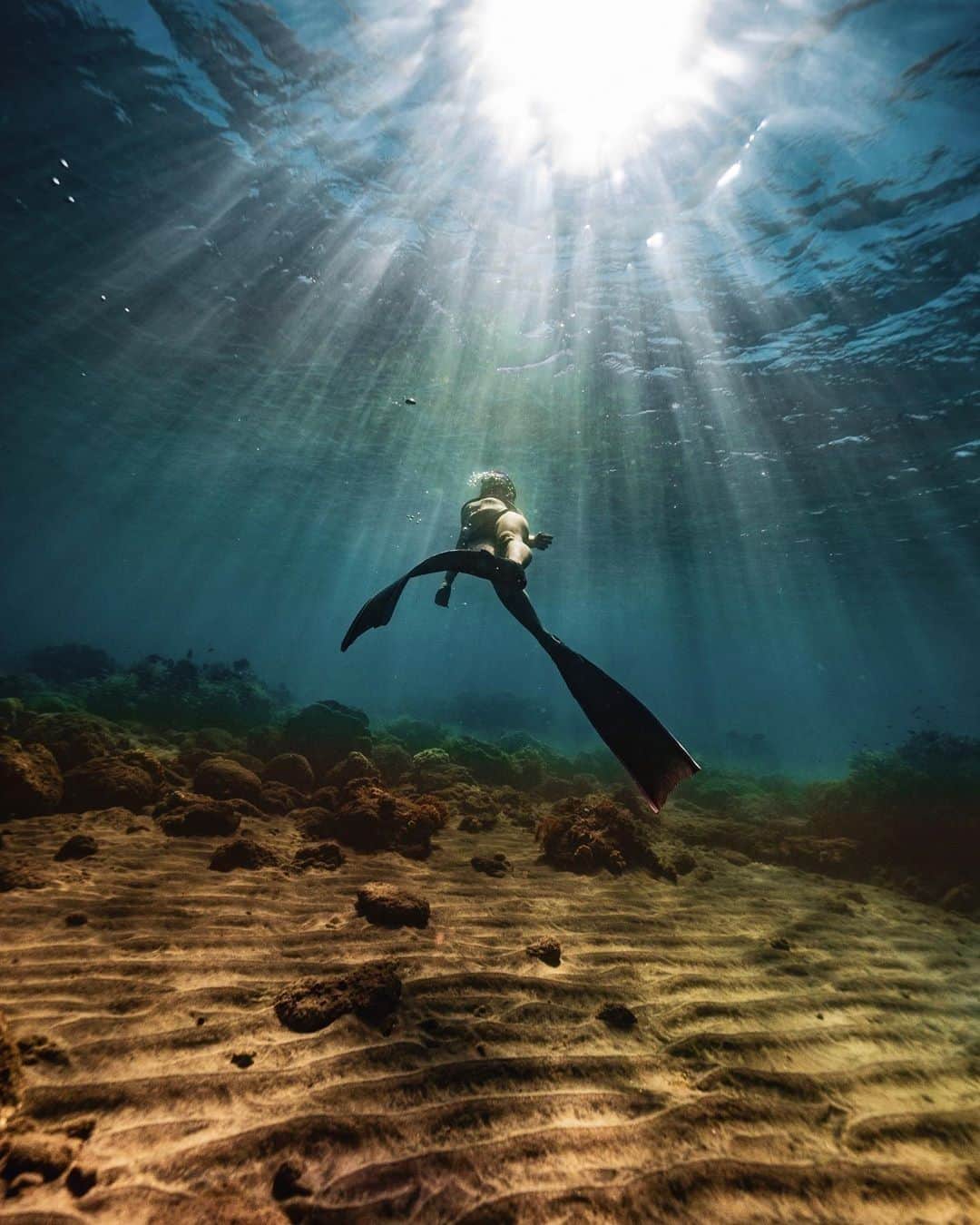 FUJIFILM INDONESIAさんのインスタグラム写真 - (FUJIFILM INDONESIAInstagram)「Dunia bawah air yang misterius selalu mengundang rasa penasaran dan menghasilkan foto-foto yang memukau seperti foto dari @lmy22068 yang menggunakan Fujifilm X-T2 dan lensa XF10-24mmF4 R OIS disertai housing untuk memotret underwater. Foto ini diambil di Amed, Bali, salah satu spot diving dan underwater photography yang populer di tanah air.  #Fujifilm_id #GoFUJIFILM #XT2 #XF1024」7月28日 15時00分 - fujifilm_id