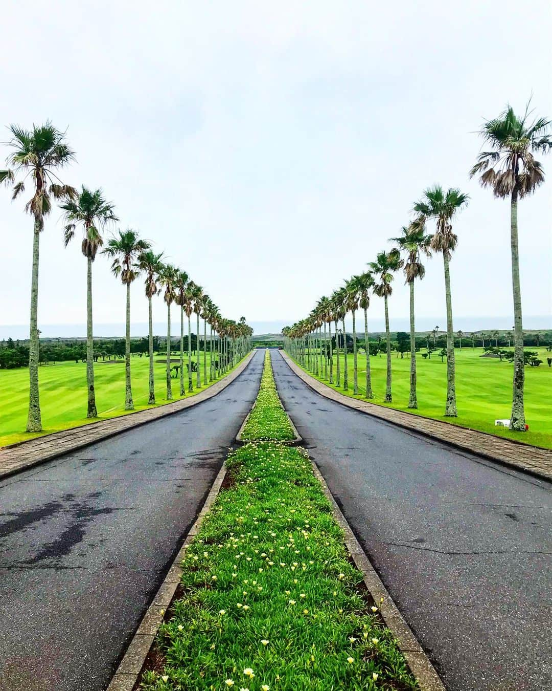 SHiNNOSUKEさんのインスタグラム写真 - (SHiNNOSUKEInstagram)「夏らしい天気にテンション上がる日もあれば、夏らしい天気だからこそ憂鬱になる日もある。  閉じこもってないで遠く行きてーなー！！！ 集中して頑張ります！！ #引き篭もり #遊びたい夏2019 #遊べない夏2019」7月28日 15時08分 - shinnosuke_rookiez