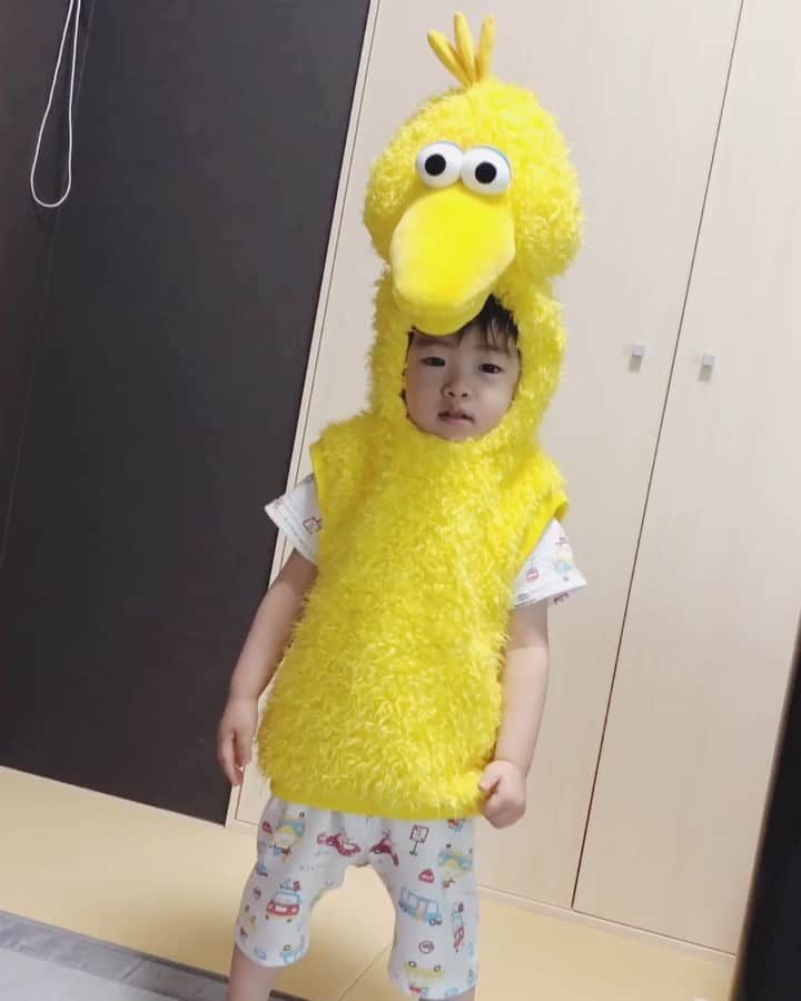 田中涼子のインスタグラム：「可愛いよちよち歩き🐥だった時期に買ってもらったのに怖がって腕通してくれず、クローゼットに吊ってるの見つけて今頃これで出かけるってきかない😵 暑いし普通にすたすた歩けると、思ってたのと違うんだよー😂」