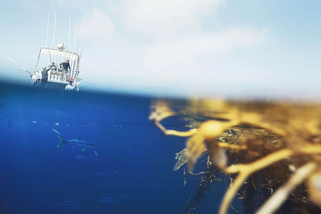 Costa Sunglassesのインスタグラム：「Keep close to the kelp paddies. After an epic day chasing yellowtail, we're hunting bonito and calico bass on the fly. Check out our stories to follow along. #SeeWhatsOutThere」