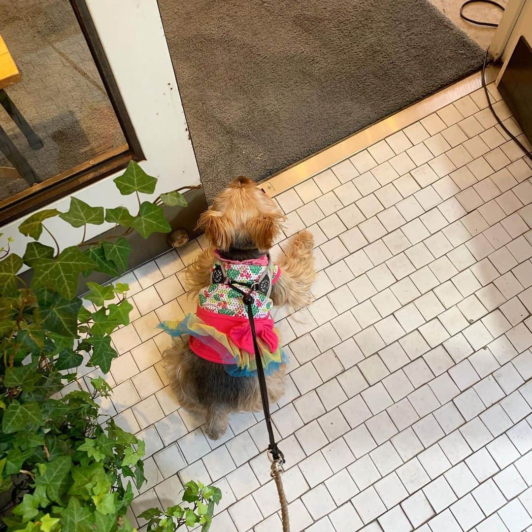 Rubyのグルメインスタ