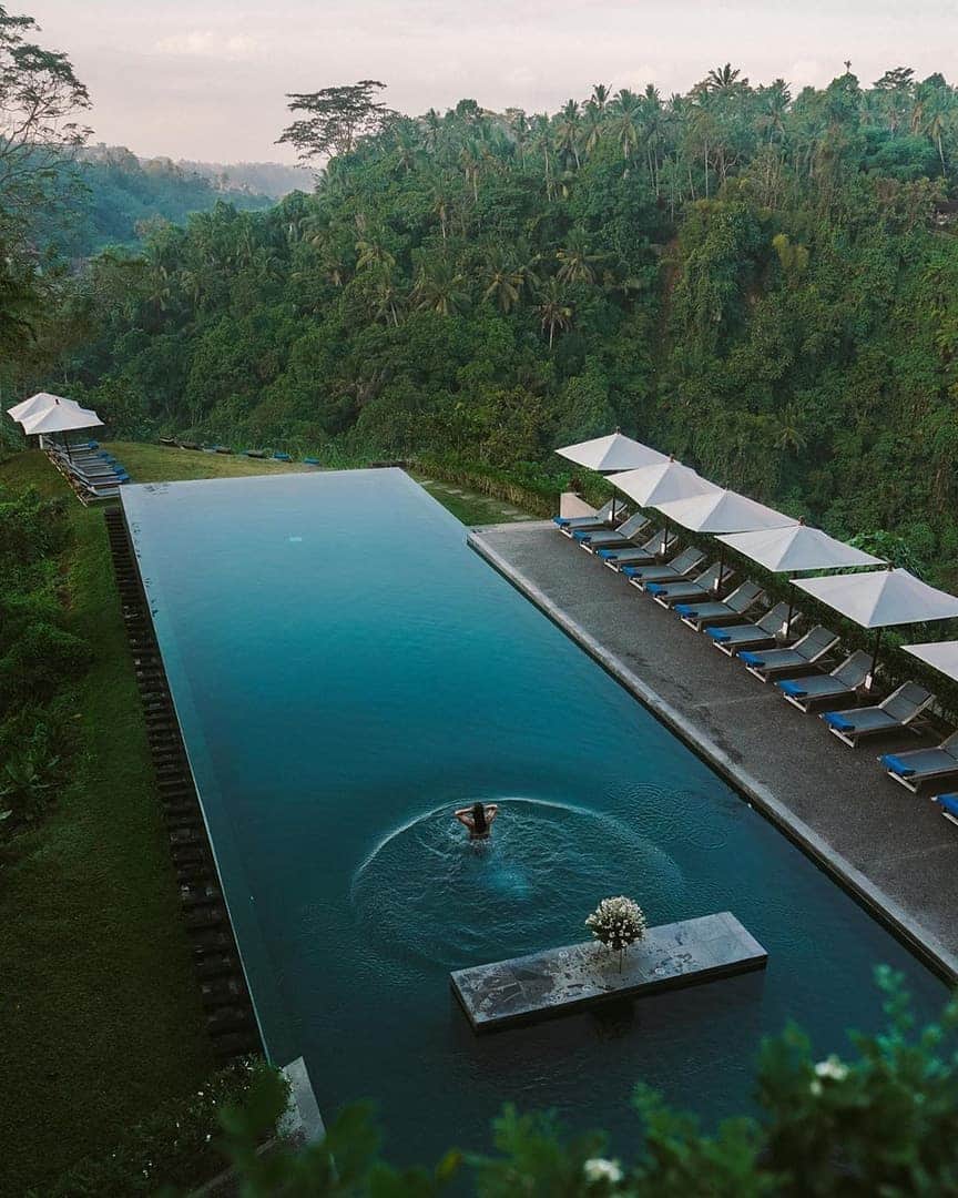 Discover Earthさんのインスタグラム写真 - (Discover EarthInstagram)「Morning dip in Ubud, Bali. "I wanted to share a few recommendations for this part of Bali, so here’s a mini guide... (save this post for later to reference): 🛌 Bisma Eight, Alila, or COMO Uma. ☕️ Seniman Coffee or Lazy Cats Cafe. 🍴 Warung Pulau Kelapa, Hujan Locale, Warung Babi Guling Ibu Oka 3, or Tukies Coconut Shop. 📍Saraswati Temple, Monkey Forest, Campuhan Ridge, Tegalalang Rice Terrace, or art market." — 📍#DiscoverIndonesia — 📸 Caption & Photo by @bontraveler」7月29日 1時57分 - discoverearth