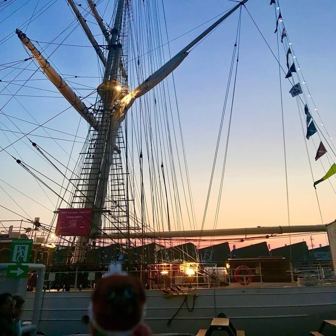 ころさんのインスタグラム写真 - (ころInstagram)「ころツーリスト in オランダ(スケベニンゲン)  世界の帆船が集合するイベントの夕日バックバージョン😝✨✨ ． ころの他の写真を見たい方はこちらから！  @koro.dottokoi .  #ころツーリスト #旅 #旅日記 #旅スタグラム #旅すたぐらむ #トラベラー #旅に出たい #旅の記録 #旅好き #旅写真 #旅行好き #旅したくなるフォト #旅フォト #マイトリ #旅行大好き #わんこ #ぬいぐるみ #ぬいどり #ぬい撮り写真部 #マイトリップ #旅の思い出 #旅の思い出 #ぬい撮り #ぬい撮りさんと繋がりたい #ぬいすたぐらむ」7月28日 17時14分 - koro.dottokoi