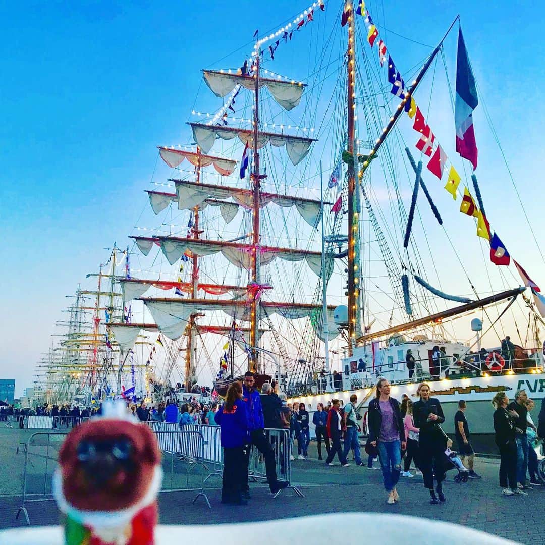 ころさんのインスタグラム写真 - (ころInstagram)「ころツーリスト in オランダ(スケベニンゲン)  スケベニンゲンの港が開港して75周年記念のイベントで世界中の帆船が集まるイベントがあったよ😝✨✨ ． ころの他の写真を見たい方はこちらから！  @koro.dottokoi .  #ころツーリスト #旅 #旅日記 #旅スタグラム #旅すたぐらむ #トラベラー #旅に出たい #旅の記録 #旅好き #旅写真 #旅行好き #旅したくなるフォト #旅フォト #マイトリ #旅行大好き #わんこ #ぬいぐるみ #ぬいどり #ぬい撮り写真部 #マイトリップ #旅の思い出 #旅の思い出 #ぬい撮り #ぬい撮りさんと繋がりたい #ぬいすたぐらむ」7月28日 17時10分 - koro.dottokoi