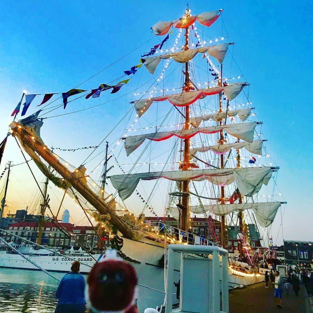 ころさんのインスタグラム写真 - (ころInstagram)「ころツーリスト in オランダ(スケベニンゲン)  スケベニンゲンの港が開港して75周年記念のイベントで世界中の帆船が集まるイベントがあったよ😝✨✨ ． ころの他の写真を見たい方はこちらから！  @koro.dottokoi .  #ころツーリスト #旅 #旅日記 #旅スタグラム #旅すたぐらむ #トラベラー #旅に出たい #旅の記録 #旅好き #旅写真 #旅行好き #旅したくなるフォト #旅フォト #マイトリ #旅行大好き #わんこ #ぬいぐるみ #ぬいどり #ぬい撮り写真部 #マイトリップ #旅の思い出 #旅の思い出 #ぬい撮り #ぬい撮りさんと繋がりたい #ぬいすたぐらむ」7月28日 17時10分 - koro.dottokoi