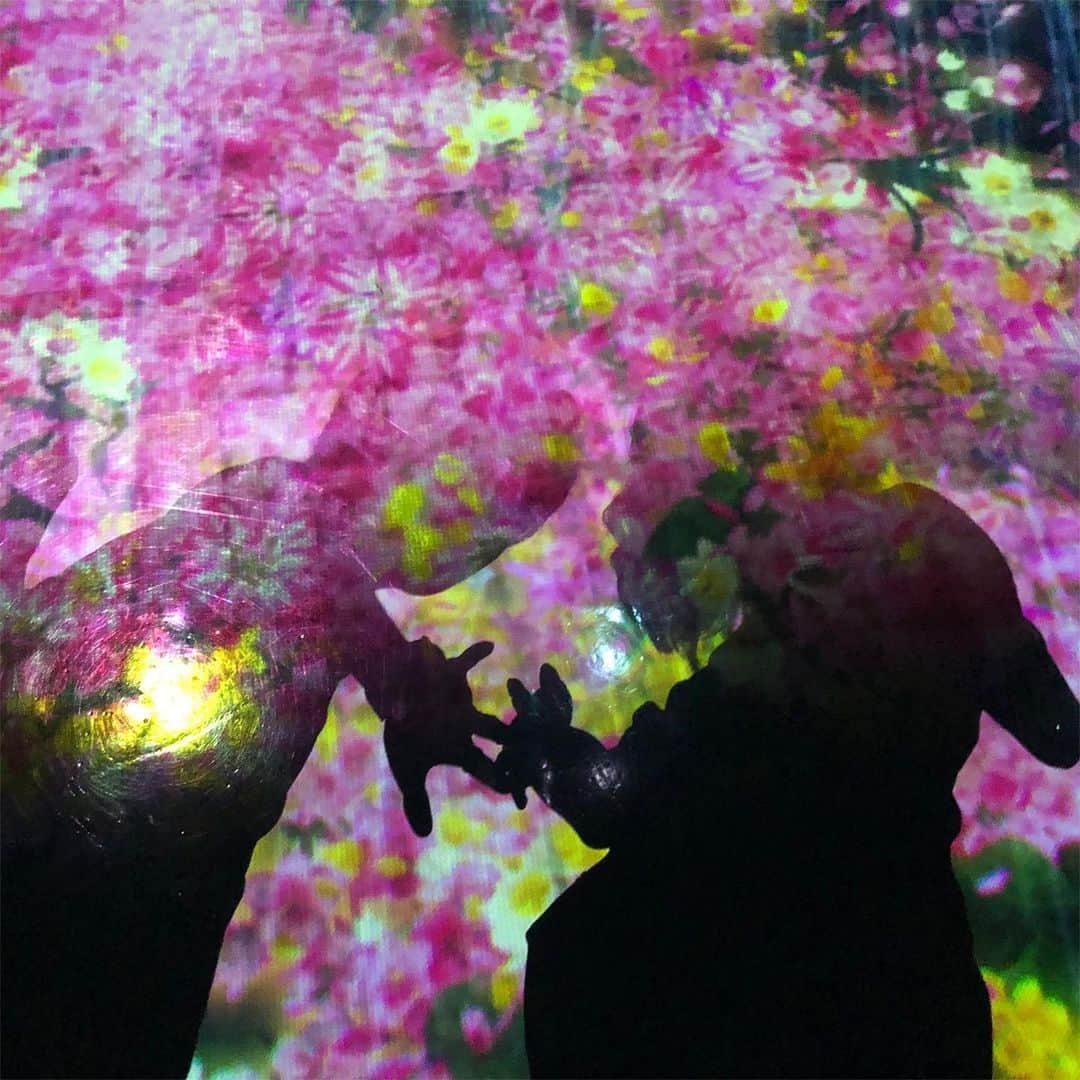 小澤楓さんのインスタグラム写真 - (小澤楓Instagram)「#森デジタルアートミュージアム にやっと行けました♡ . 光ってすごい💫⚡️💡 光に癒されるなんてないと思ってたけど、癒されました💭🍃 . . #チームラボプラネッツ #dayoff」7月28日 17時31分 - kaede_cyori