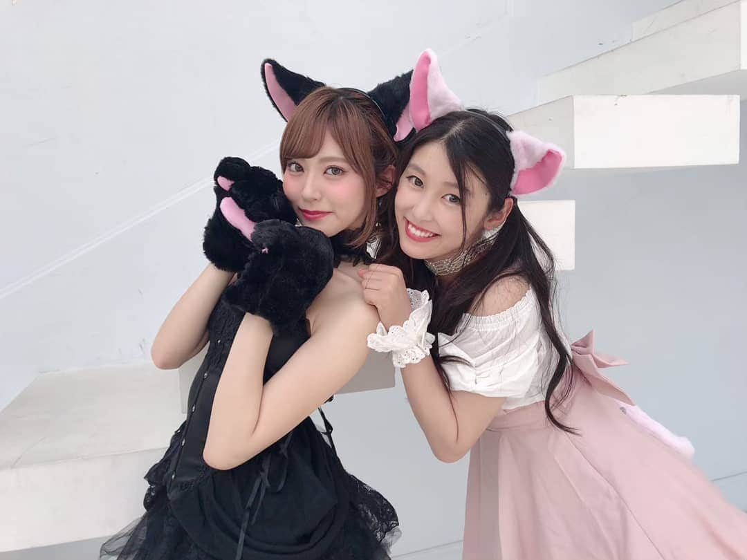 杉原枝利香さんのインスタグラム写真 - (杉原枝利香Instagram)「😺♡😺 #めいメイト です😂💕 #エヴァ #エヴァンゲリオン #エヴァンゲリオンレーシング #evaracing #eva #evangelion #rq #bike #鈴鹿 #鈴鹿8耐 #鈴鹿サーキット #三重 #日本レースクイーン大賞 #碇シンジ #碇ンごシンジ . . なぜかこのタイミングでエヴァ撮のときのめいめいとのお気に入りショットを… . . #りンご #杉原枝利香 #シードル  #cidre #hardcider #シードルアンバサダー #ambassador #乾杯 #cheers #りんご #林檎 #apple #お酒 #🍎」7月28日 17時40分 - erikasugihara