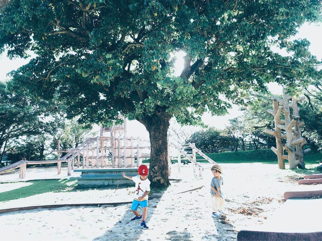 セソコマサユキのインスタグラム：「夏の日感。」