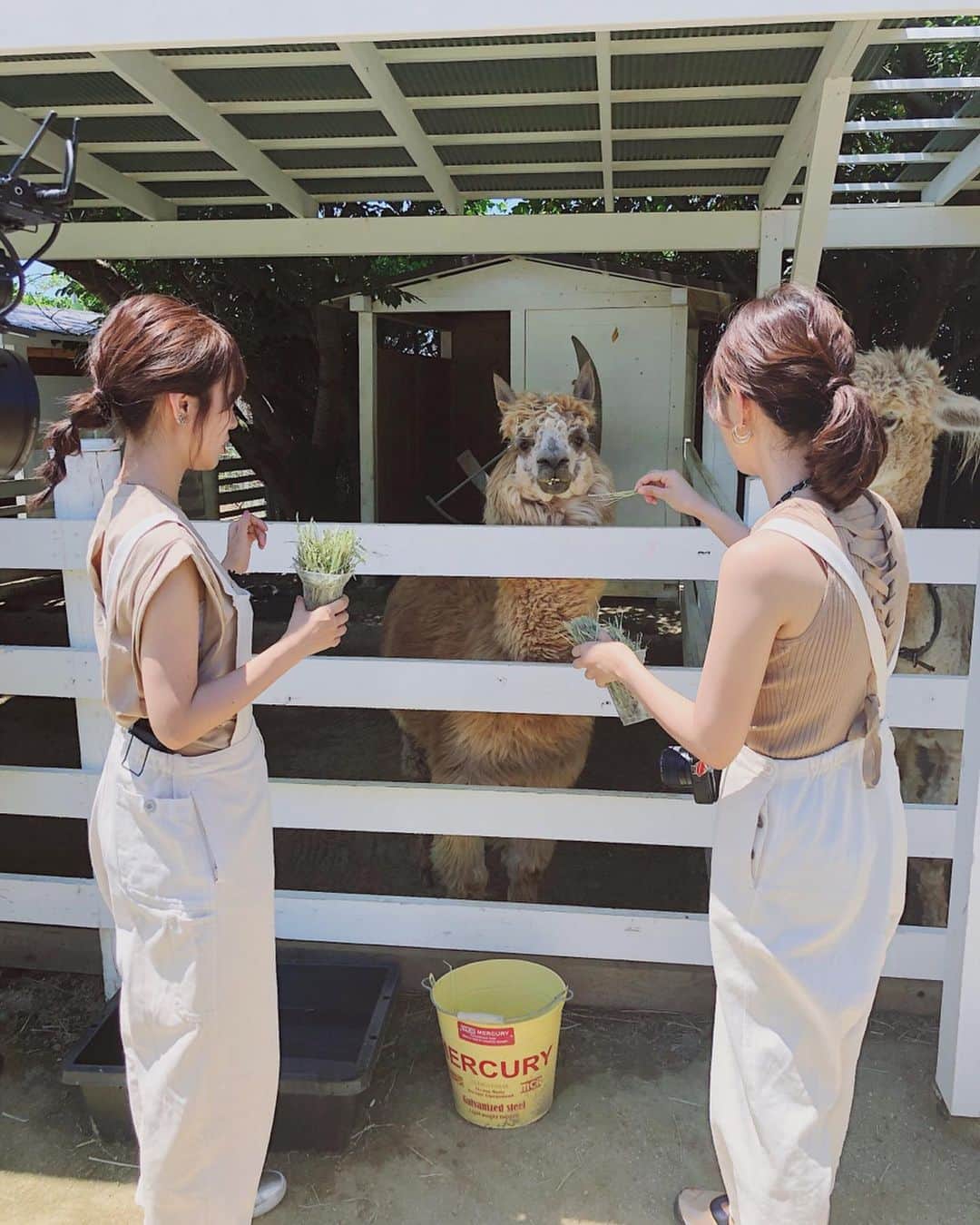 前田希美（まえのん）のグルメインスタ