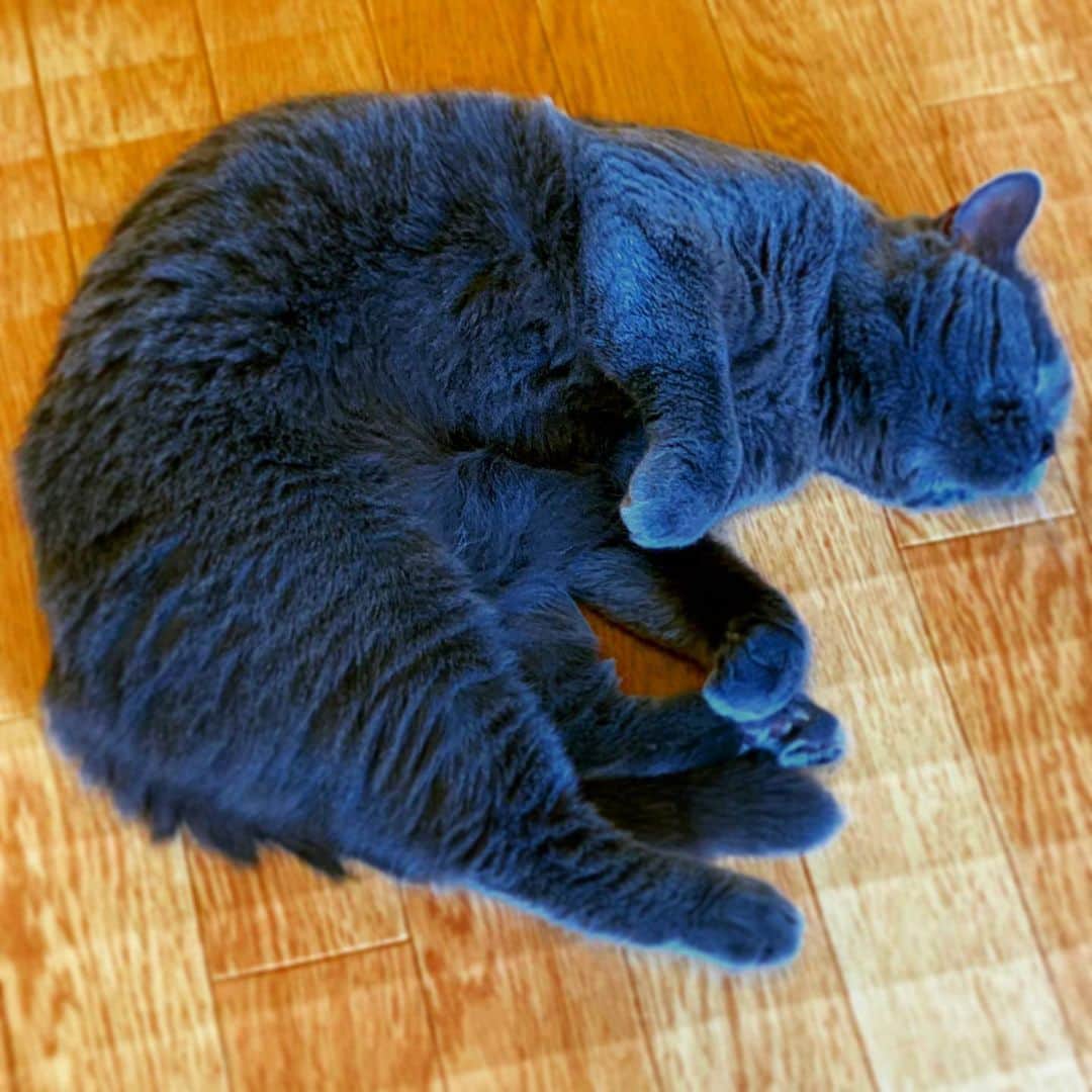 チキン南蛮カレーのルウ王子のグルメインスタ