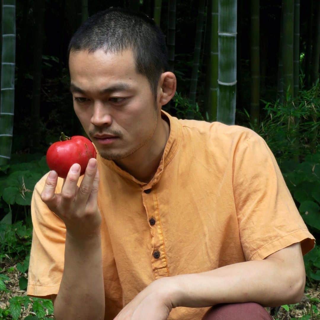 福田洋さんのインスタグラム写真 - (福田洋Instagram)「#cucanber  #and #tomato  #農闘2019」7月28日 20時31分 - trans_am_hiroshi