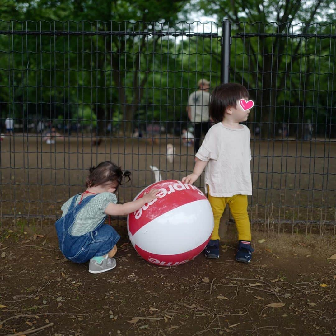 安田美沙子さんのインスタグラム写真 - (安田美沙子Instagram)「先日、家族で公園に行ったら、尾形さんファミリーに偶然会いました❤️ もはや、親戚みたいな存在。息子とも沢山遊んでくれたし、素敵パパ✨子供同士で遊べるなんて。。。時間の流れを感じます。 もっと沢山会えますよおに😊💕 . . . #instagood  #park #family #friends #boy #girl #thankyou」7月28日 21時07分 - yasuda_misako