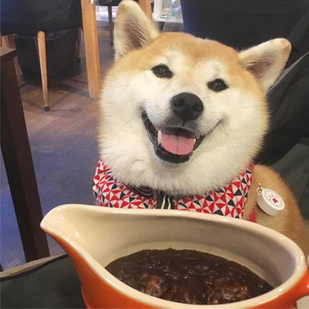 てんパパのグルメインスタ