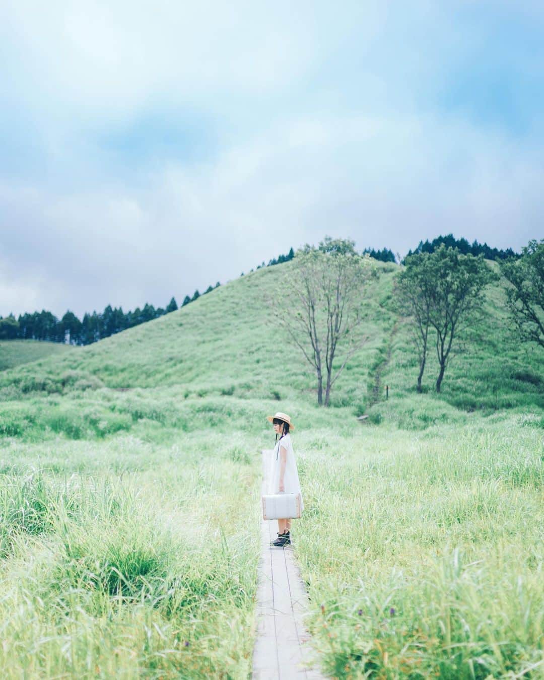 sorayuchiのインスタグラム：「trip🧳 ・ 夏休みは、ソラマメ🐶と一緒に富士山付近を旅する予定です🚗✨どこ行こうかなぁ☺︎」