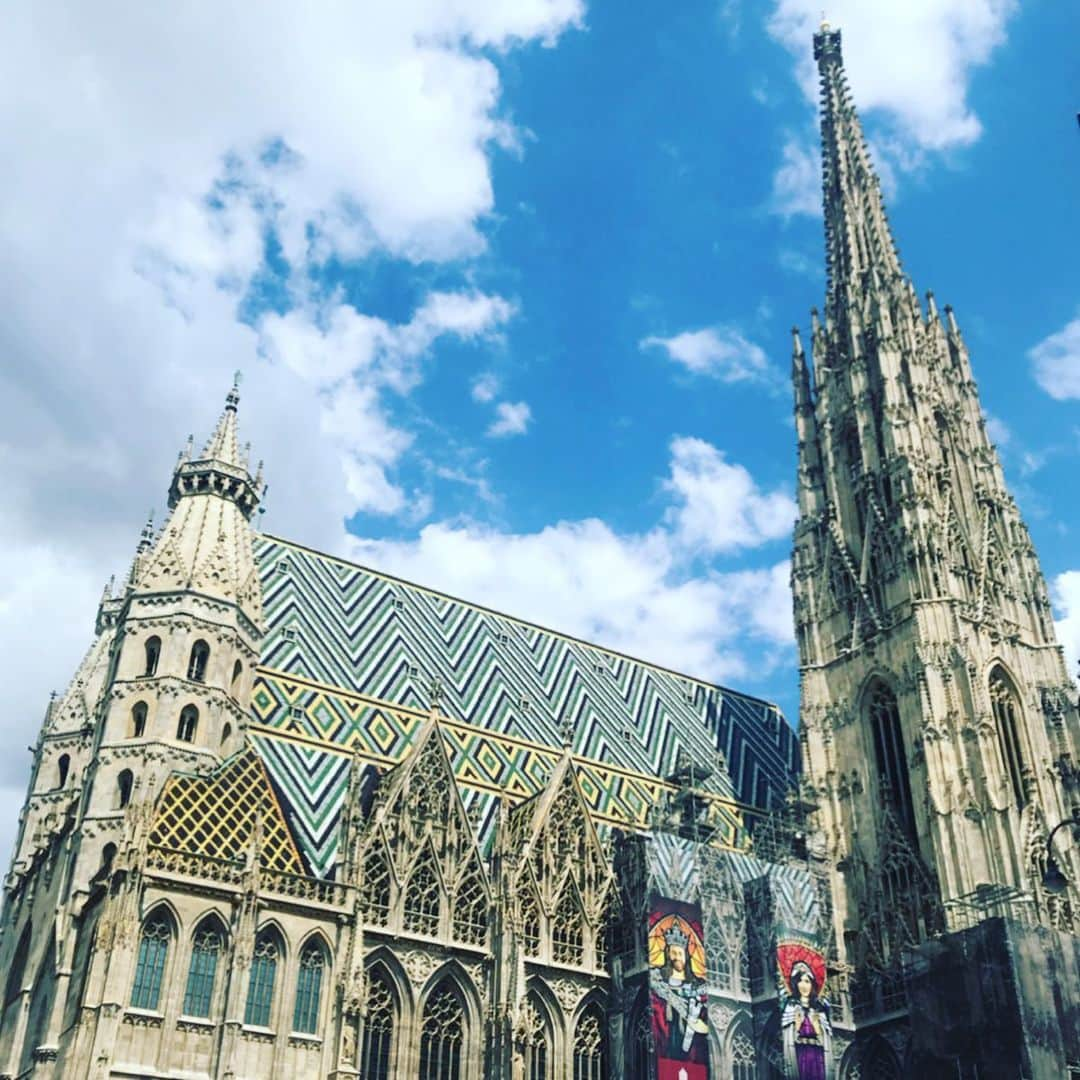 緑友利恵のインスタグラム：「#Stephansdom #シュテファン大聖堂 #教会 #オーストリア #ウィーン #リングシュトラーセ #歴史 #austria #vienna #viennacity #citycenter #ring #ringstraße #organ #church  #travel #history #viena #Iglesia #organo #carreteradecircunvalación #turismo #viajes #historia #슈테판대성당 #오르간 #순환도로 #관광 #여행 #역사」