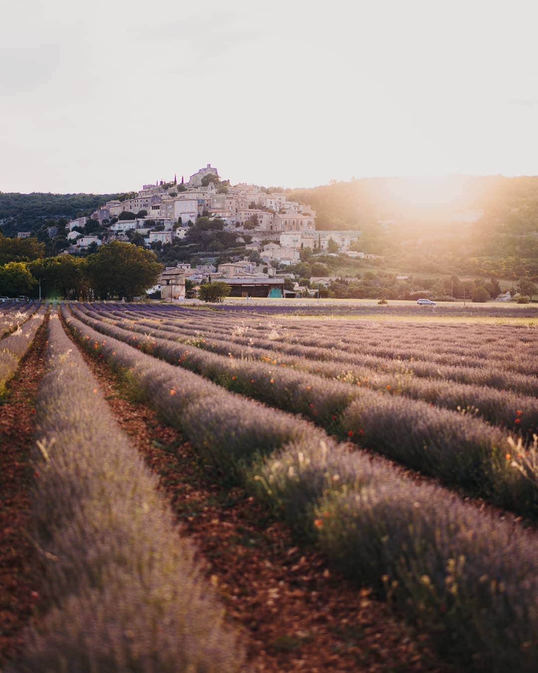 Putri Anindyaのインスタグラム：「Summer in France, warm sun in Provence. Where the flowers bloom, and the hills rest. Where the landscape sings into the painters dream. . . Taken with @sonyalpha_id #a7iii 55mm f1.8 zeiss #sonyalpha_id #sonyalpha」