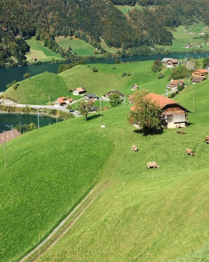 Hatice Korkmaz The Color Queenのインスタグラム：「Tranquility💚 #lungern #switzerland #nature #love #green」