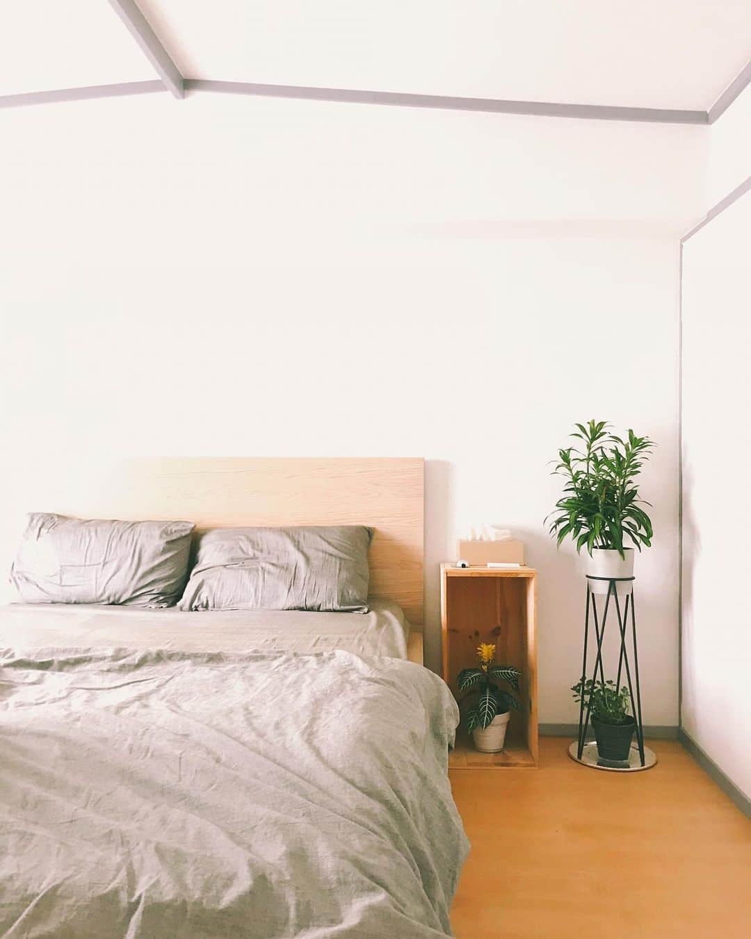 蓮沼千紘さんのインスタグラム写真 - (蓮沼千紘Instagram)「植物を育て始めて独り言が増えた。 . あと寝つきがさらに良くなった。 . #🌿#green#botanical#bedroom」7月28日 23時32分 - knitchihiro