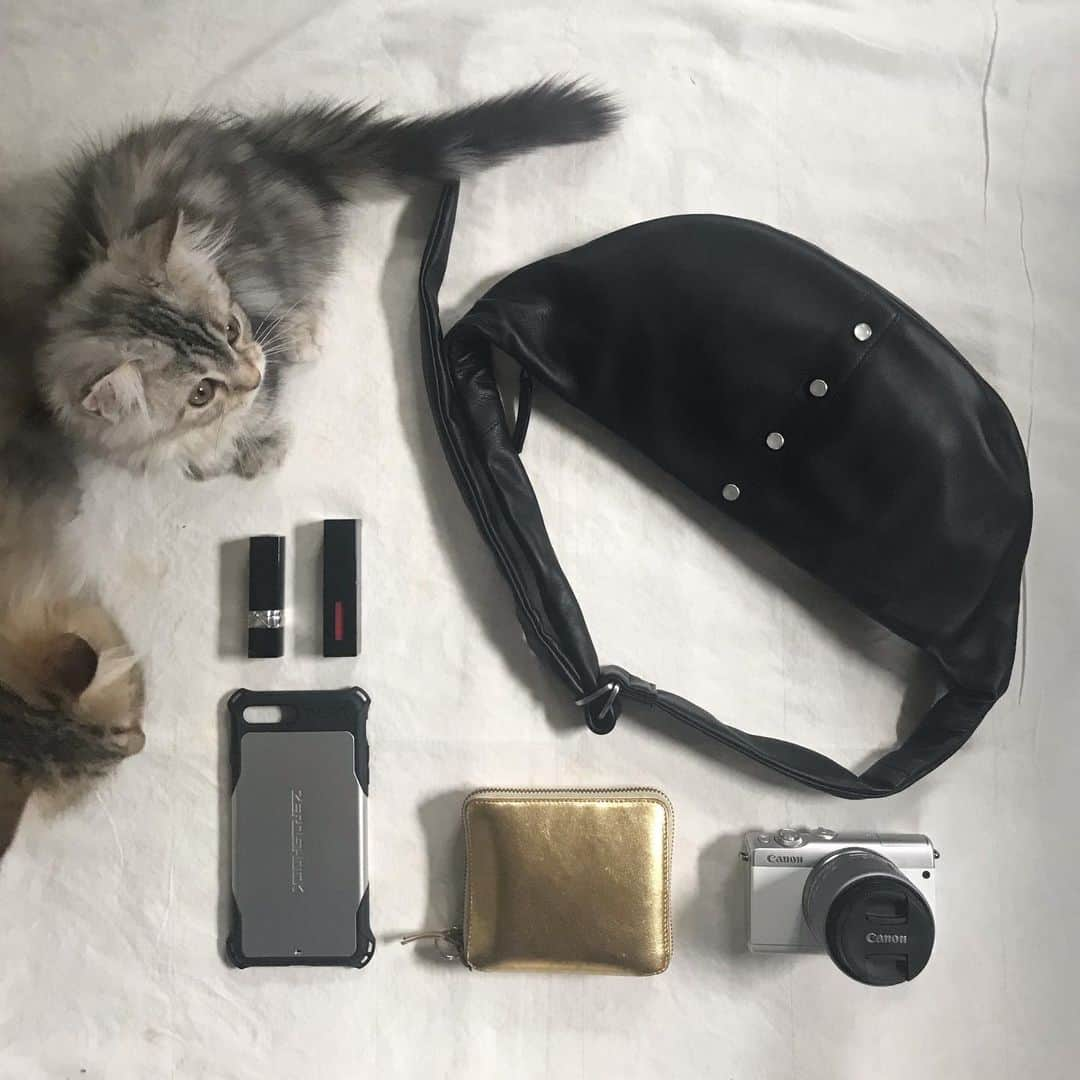 粟津麻依さんのインスタグラム写真 - (粟津麻依Instagram)「かばんの中身❤︎ リップはDIORかYSL。iPhoneケースはZEROSHOCK。お財布はコムデギャルソン。カメラ買いました！  仕事が終わって家に帰ると２匹がいるのまじで癒し。。 . . #アニエスベー #agnesb」7月28日 23時37分 - awatsumai