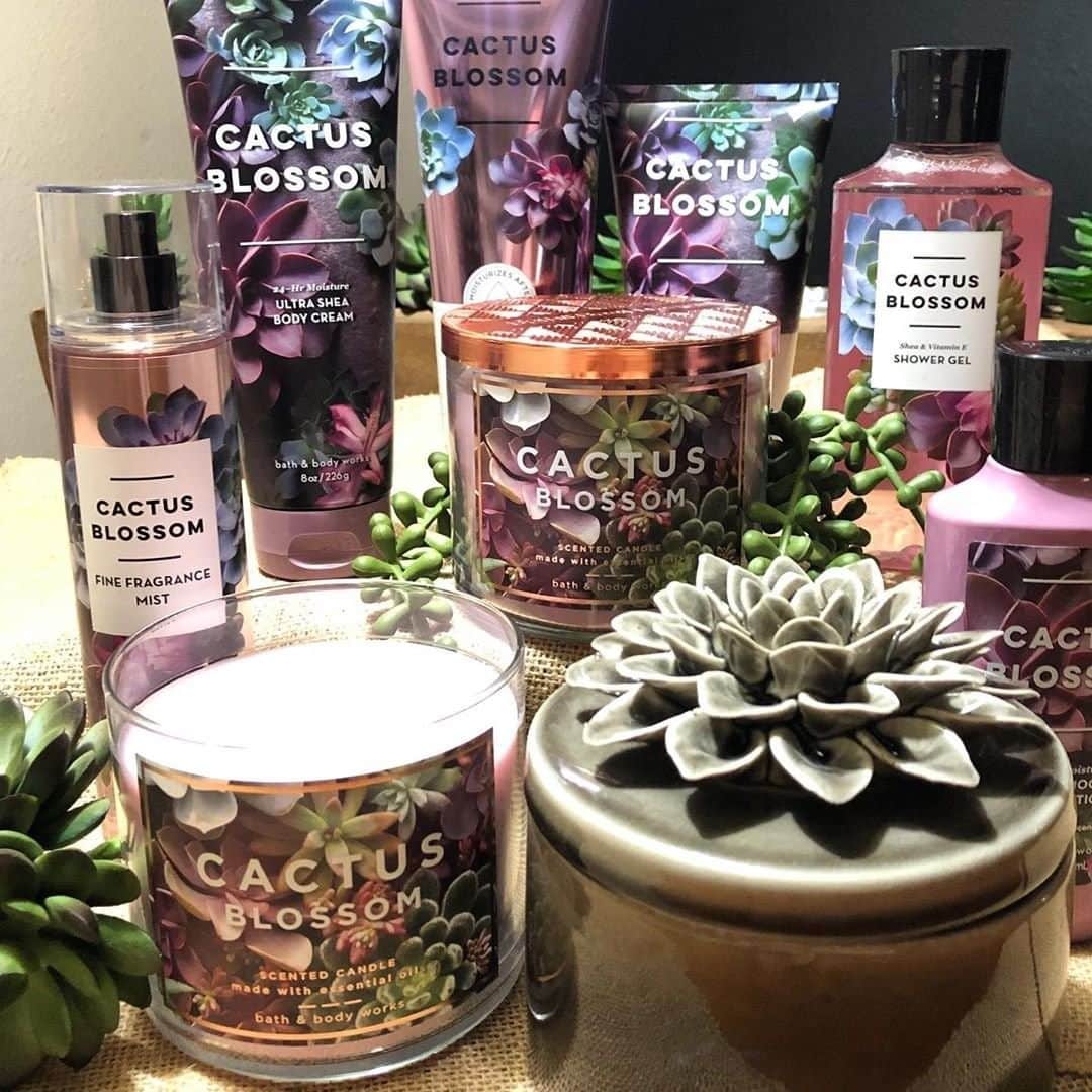 Bath & Body Worksさんのインスタグラム写真 - (Bath & Body WorksInstagram)「When the fragrance is this good, you have to have a little bit of everything! 💕 Leave a 🌵 if Cactus Blossom is your NEW favorite fragrance!」7月29日 0時00分 - bathandbodyworks