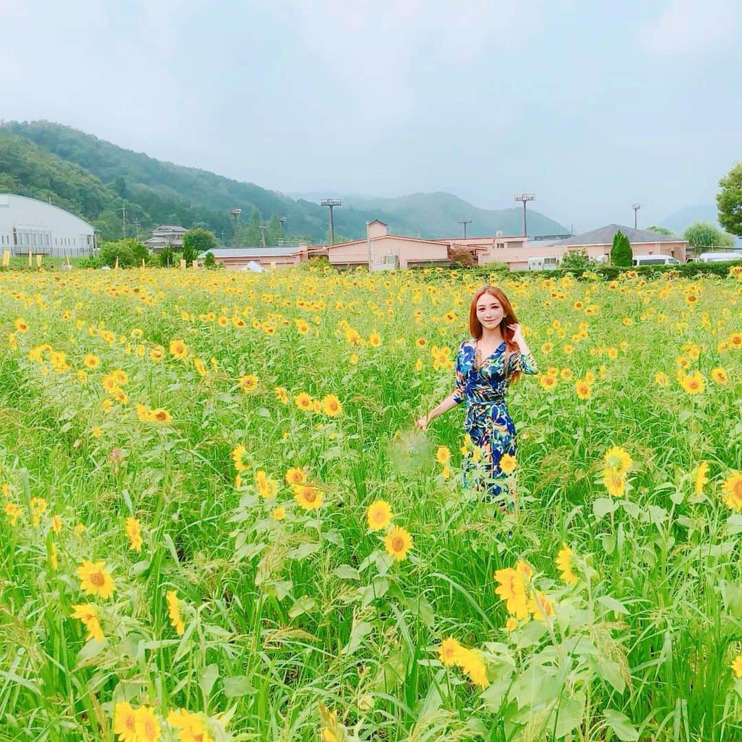 鈴木絢子さんのインスタグラム写真 - (鈴木絢子Instagram)「・ ・ ゴルフ帰りにたまたま通った#南光ひまわり畑 #🌻 ちょうど今が満開！ 太陽に向かって見事に咲いてます🤗✨ ・ 21ヘクタールの広さに106万本のひまわりが咲くのは、#関西随一 の規模感だそう🌟 ・ 果てしなく続くひまわり畑を見ているだけで、汗だくになりましたが😅 一挙に夏の訪れを感じることができました👒 ・ ・ ・ #ポジティブな花 #ヒマワリ #ひまわり祭り #向日葵 #絶景 #太陽の恵み #花畑 #夏の花 #憧れ #花言葉 #黄色 #関西ドライブ #himawari #Sunflower #flower #yellow  #🌻 #🏎」7月29日 0時10分 - ayako_suzuki810
