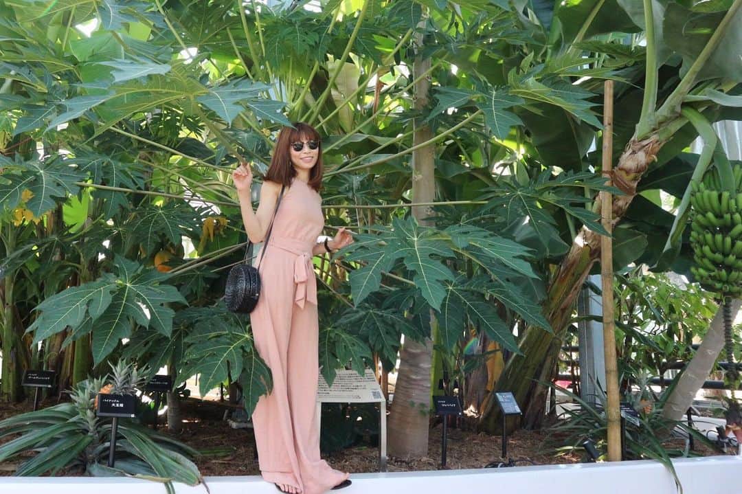 RENA のグルメインスタ