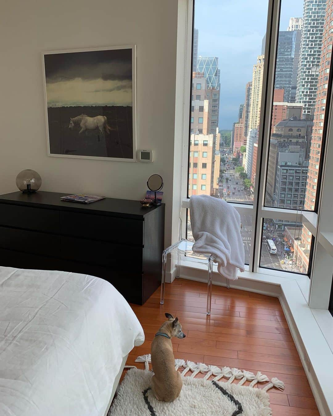 ベラミー・ヤングさんのインスタグラム写真 - (ベラミー・ヤングInstagram)「A very big thank you for some very sweet #NYC dreams! @tempurpedic you know what you're doing! @dannyseomag thank you for introducing me to such a restful rest! And as you can see, it's also #BeanApproved. 😁 Thanks too to @oliveandcocoa for the #SnowyLuxe welcome throw! And @daniellelurie for loaning me your lovely photos to dream with. You know how much I love this City, but now you've really made it feel like home. ❤️🍎 😴🎉 ps: I built that bed- and that dresser!💪 pps: that bump under the duvet in the first pic is Button 😸」7月29日 10時28分 - bellamyyoung