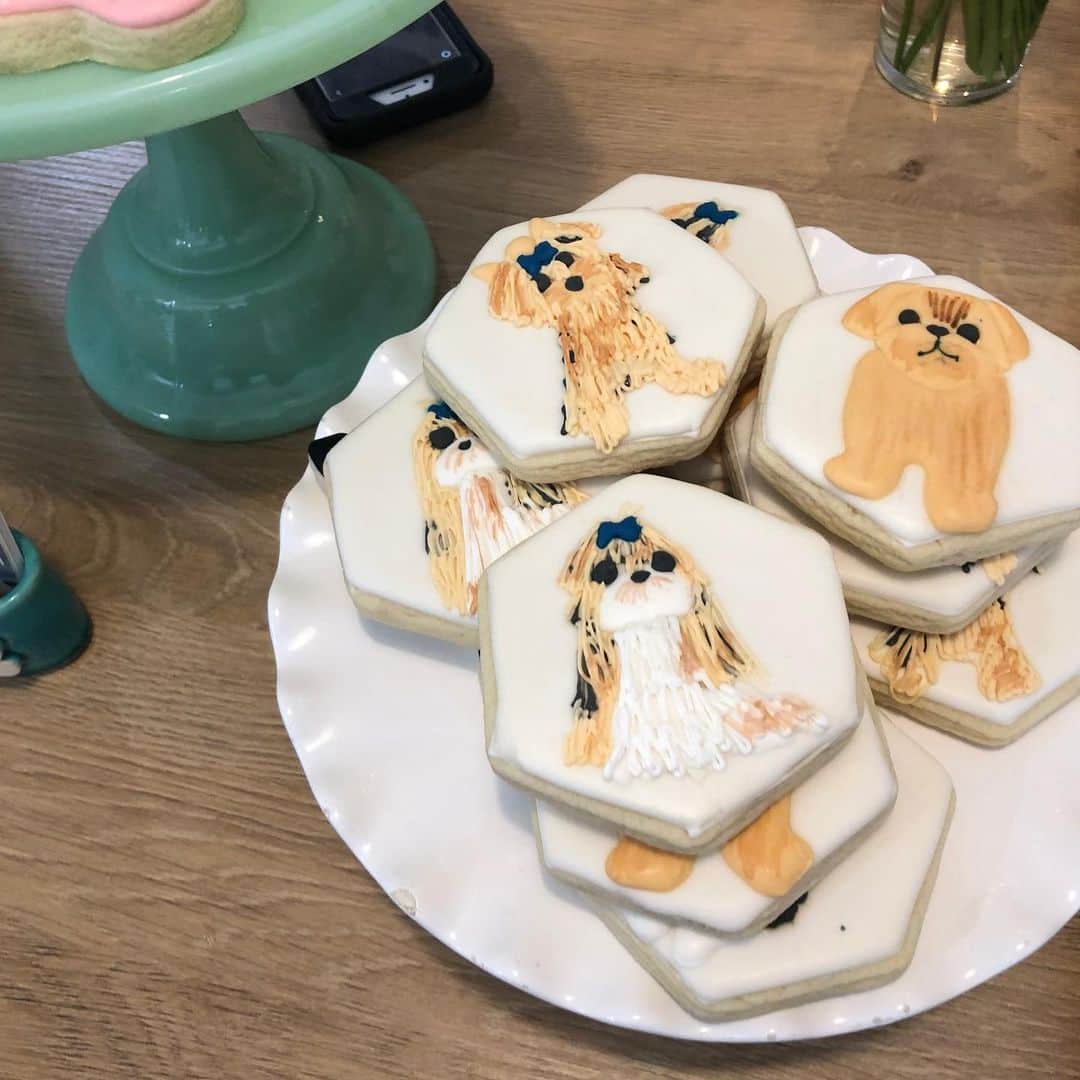 Dogs by Ginaさんのインスタグラム写真 - (Dogs by GinaInstagram)「Thanks to everyone who came out to support my new business. You really made today special for me! 🐾🖤」7月29日 10時58分 - napanatural.dogco
