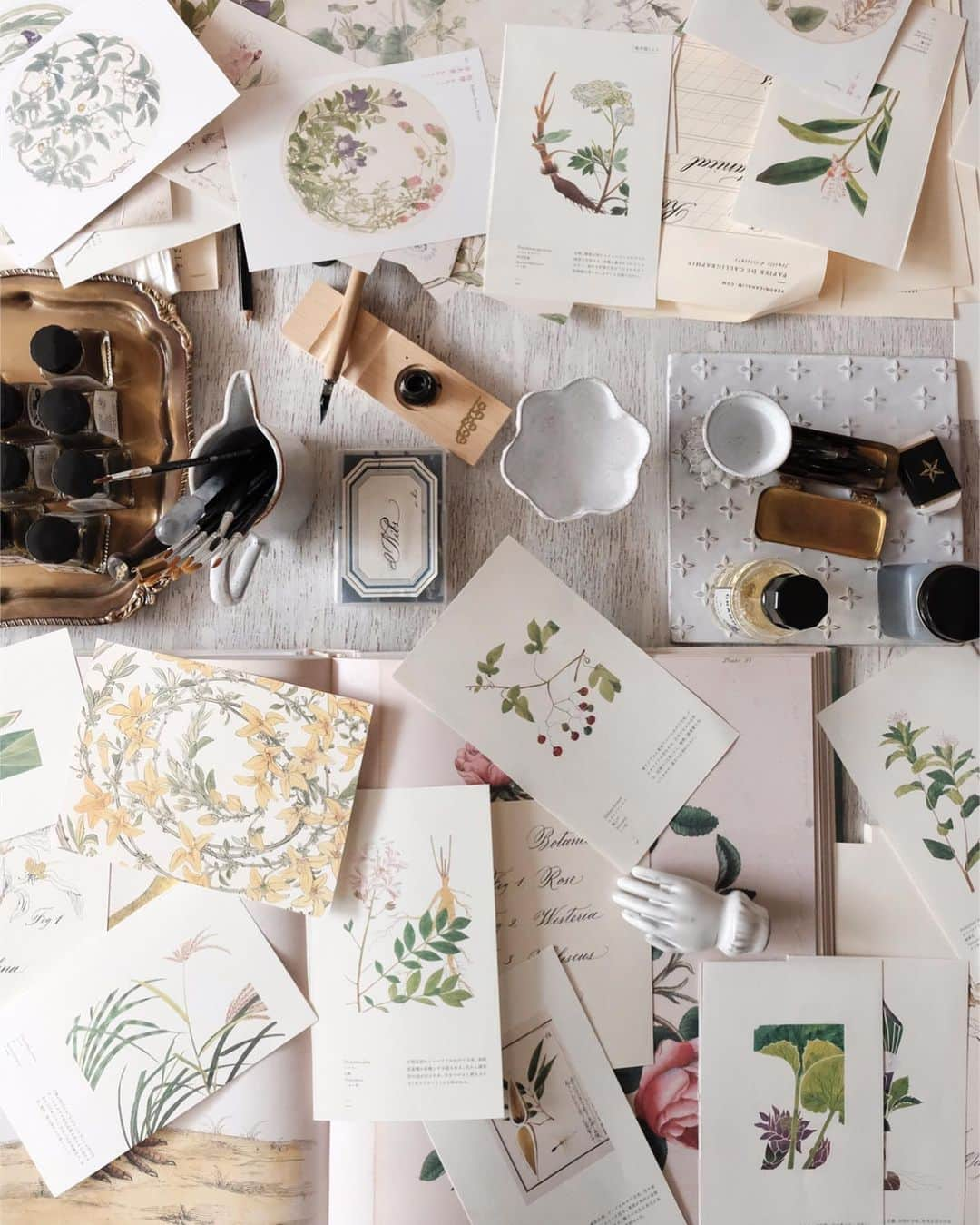 Veronica Halimさんのインスタグラム写真 - (Veronica HalimInstagram)「Beautiful mess — #trufypi #vhcalligraphy #calligraphyworkshop #kaligrafina #jakartaworkshop #jakartacalligraphy #botanicalsketch #botanicaldrawing #painting #botanicalprints #カリグラフィー #カリグラフィースタイリング #calligraphystyling  #カリグラフィ#モダンカリグラフィー #カリグラフィーワークショップ」7月29日 11時12分 - truffypi