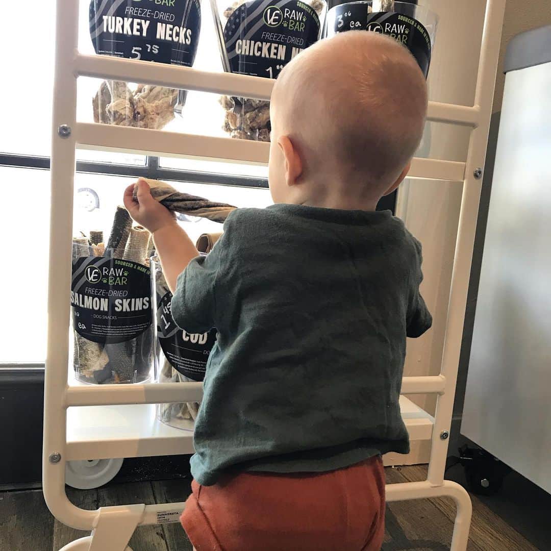 Dogs by Ginaのインスタグラム：「Kid friendly @vitalessentialsraw raw bar 🐾🖤 #vitalessentialsraw」