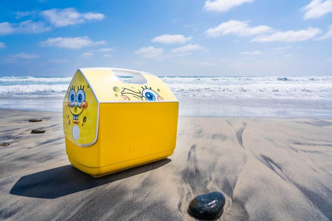スポンジボブさんのインスタグラム写真 - (スポンジボブInstagram)「Spotted on the mainland are the ~chilliest~ limited edition SpongeBob Igloo coolers! ~ Link in Bio ~」7月29日 3時00分 - spongebob