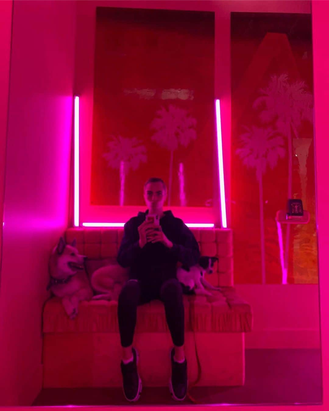 カーラ・デルヴィーニュのインスタグラム：「In the dog house.」