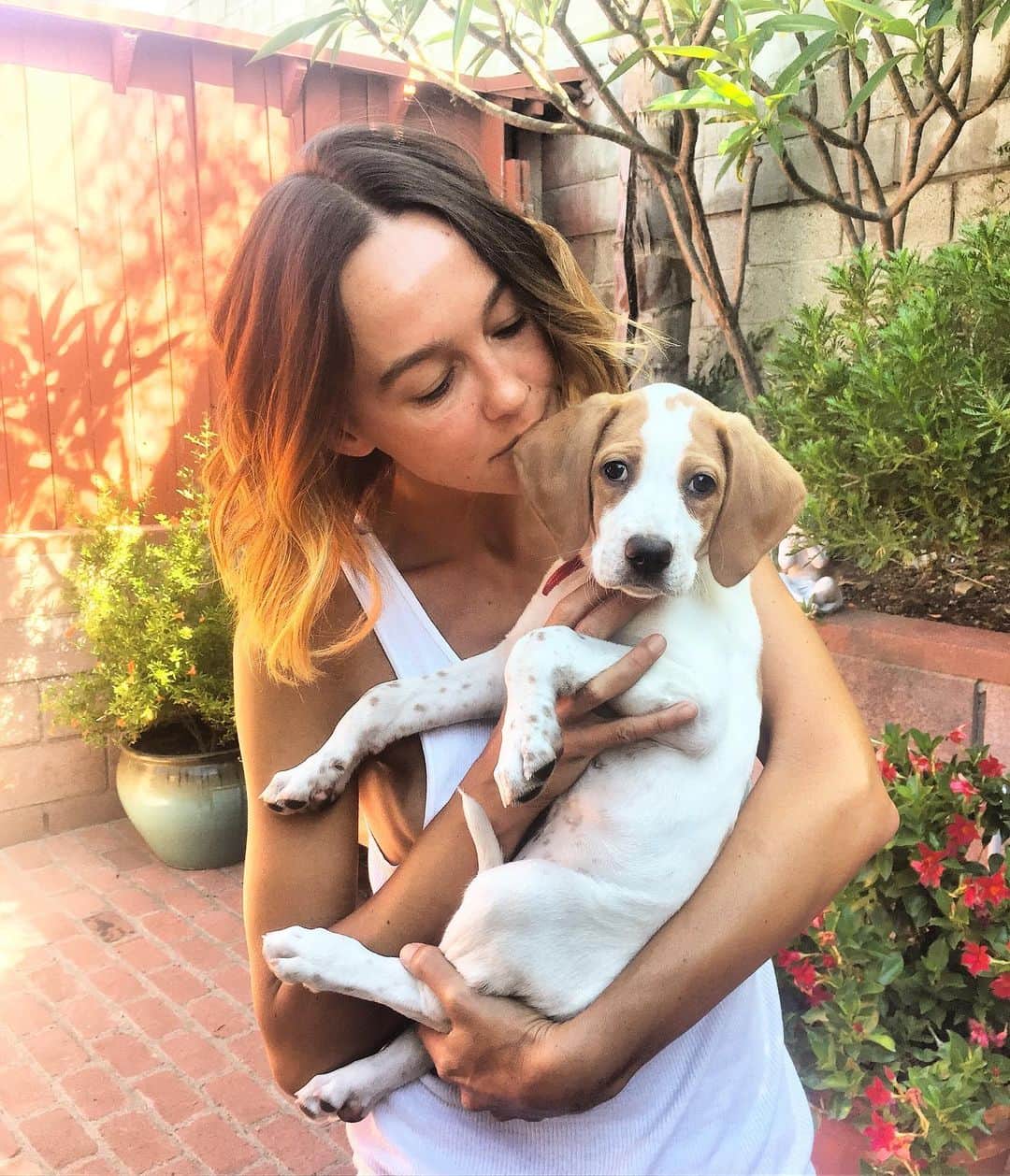 シャーニ・ヴィンソンのインスタグラム：「Meeting the newest member of the family 🐶 #Sophie 💕」
