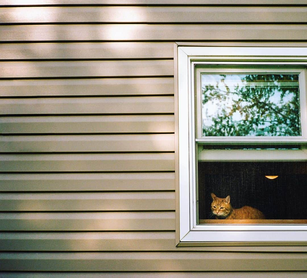 コナー・フランタさんのインスタグラム写真 - (コナー・フランタInstagram)「he was mad i went outside without him」7月29日 4時44分 - connorfranta