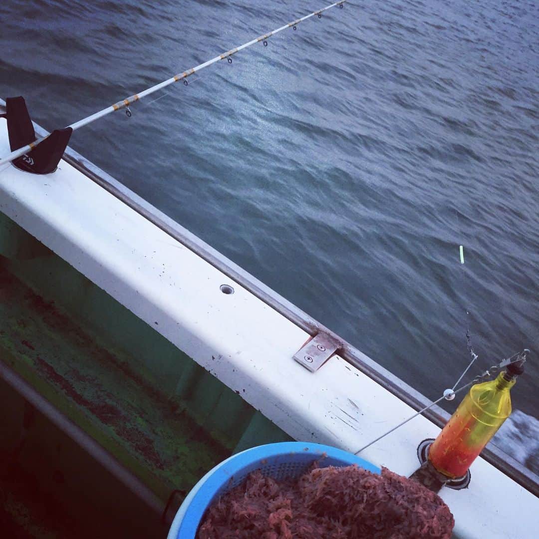 田井弘子さんのインスタグラム写真 - (田井弘子Instagram)「出発〜〜‼️ 今日の狙いは、イサキだよ☆ いっぱい釣るぞー‼️ #釣り女子」7月29日 4時53分 - hirokotai