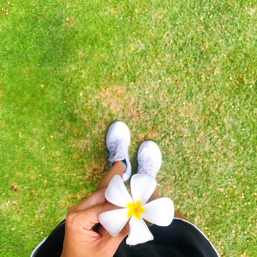のインスタグラム：「morning run🍍🏃🏽‍♀️☀️ ・ ランニングしてたらプルメリアが飛んできた☺︎♡♡♡ ・ なんてhappy😍 #running #morningrun #hawaii #Plumeria #ランニング女子 #happy #プルメリア」