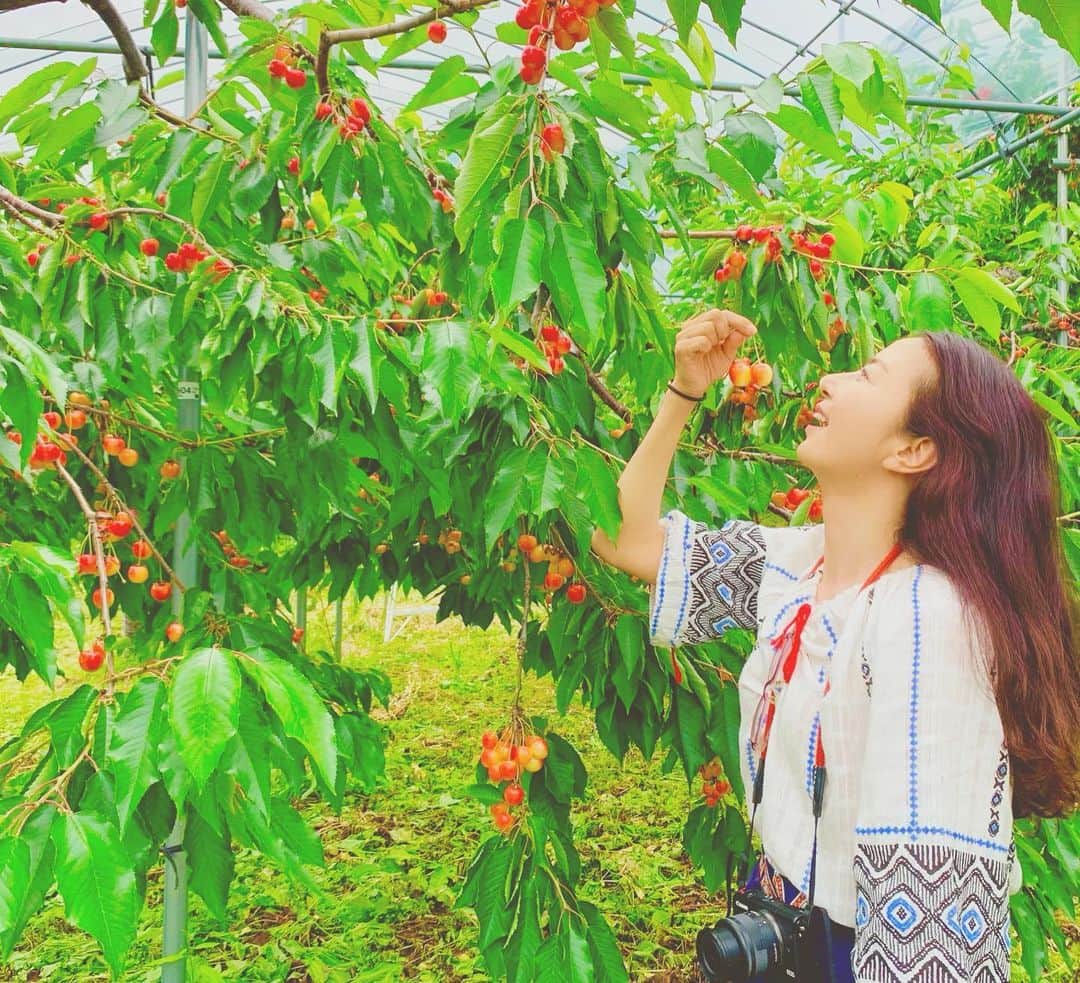 大桃美代子のグルメインスタ