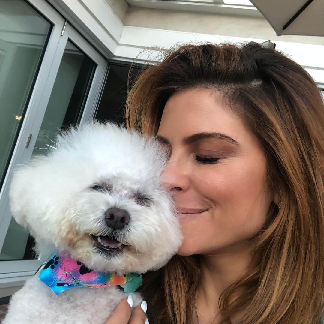 マリア・メノウノスさんのインスタグラム写真 - (マリア・メノウノスInstagram)「Inhaling poodles is good for your health! Try it for yourself!  They get so happy after their grooming w/the best -  @hollywoodgroomergirl ❤️」7月29日 6時13分 - mariamenounos