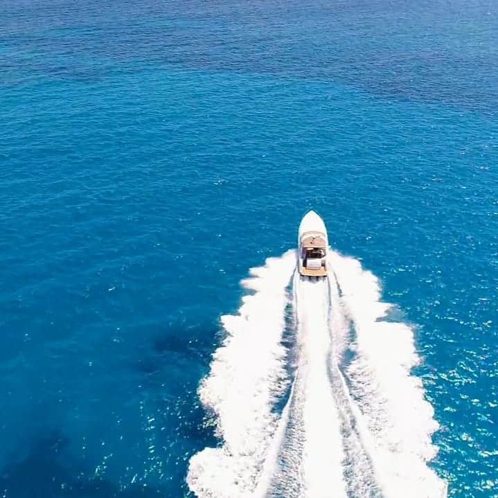 Luxury Cruise by Captain Bruceさんのインスタグラム写真 - (Luxury Cruise by Captain BruceInstagram)「🔹コオリナでのプライベートクルーズ⁠ サンセットも素晴らしいですが、海でのアクティビティはコオリナも超おすすめです。⁠ ⁠ 深い所でも底までよく見えて透明度抜群です^^⁠ ⁠ ⁠ ⁠ #captainbruce #privatecharter #koolina #oahulife #hawaii #ocean #boatcharter #yachtcharter #blue #vacation  #キャプテンブルース #プライベートクルーズ #コオリナ #ハワイ #海 #青」7月29日 7時11分 - cptbruce_hi