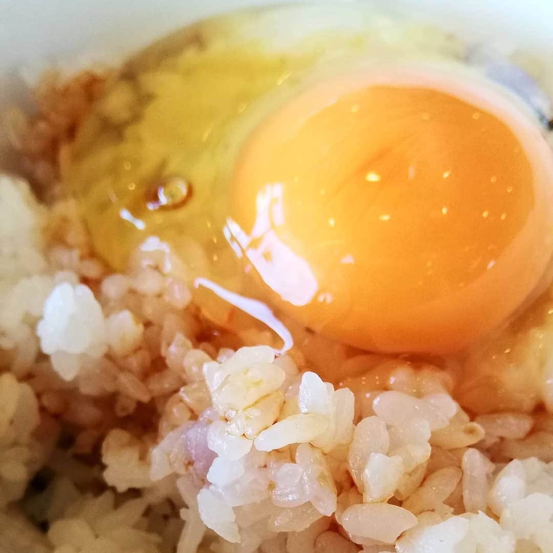 松本隆博のインスタグラム：「。 オオズプラザホテル なう。 live翌日朝のtkgは すこぶる美味い(*Ü*) …今から大分参ります 🎼.•*¨*•.•*¨*•.¸¸🎶」