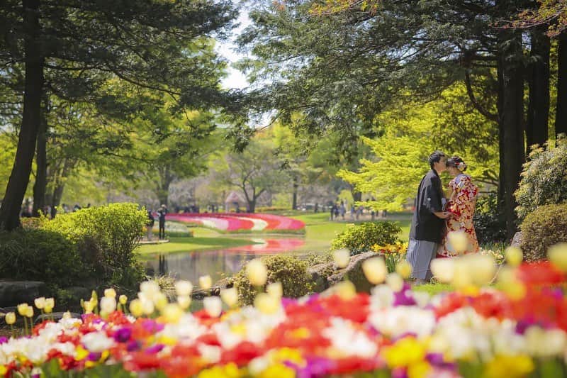 スタジオAQUA 横浜店さんのインスタグラム写真 - (スタジオAQUA 横浜店Instagram)「昭和記念公園ロケーションプランのご案内です☺︎✨ . .  広大なお花畑や森が楽しめる昭和記念公園✳︎ . 和装でも洋装でもどっちもいけます🙆‍♀️ . 季節でいろいろなお花が咲いているので、黄色、水色、赤、ピンク、いろんなバリエーションが楽しめるので、とっても可愛らしい写真がたくさん残せます⭐︎😊 . . 詳しくは店舗までお問い合わせください✨ . スタジオアクア横浜みなとみらい店▶︎ ☎️ 0456206338 . . . . フォトグラファー▶︎ @h_koike_aquayokohama  #ウェディングフォト  #前撮り  #ロケーションフォト  #和装前撮り  #ウェディングヘア #花嫁準備 #色打掛 #結婚準備 #スタジオアクア #結婚式準備 #ロケーション撮影 #お花畑 #結婚写真 #和装前撮り #フォトスタジオ #ブライダルフォト #関東花嫁 #プレ花嫁 #卒花 #写真で伝えたい私の世界  #2019秋 #関東花嫁  #結婚式コーデ  #全国のプレ花嫁さんと繋がりたい #結婚 #和装ヘア #卒花嫁  #結婚写真 #結婚式準備 スタジオ公式アカウントはこちら▶︎ @decollte_weddingphoto  @studioaqua_yokohama」7月29日 8時29分 - studioaqua_yokohama