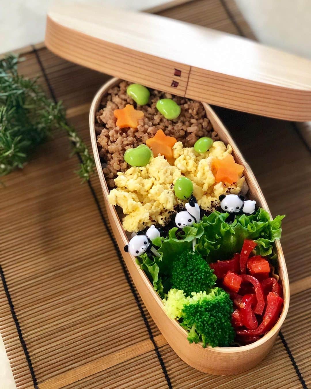 のインスタグラム：「パンダのサーカス弁当。今日じゃないよ！撮り溜めしてるよ笑！﻿ ﻿ ＊鶏そぼろ﻿ ＊卵そぼろ(ザ大雑把)﻿ ＊パプリカのケチャップ&チーズ炒め﻿ ﻿ ﻿#藤田りえ #アナウンサー #フリーアナウンサー #お弁当 #お弁当部 #お弁当作り #お弁当作り楽しもう部  #曲げわっぱ #曲げわっぱ弁当  #お昼が楽しみになるお弁当  #弁当女子 #中学女子弁当 #bento #obento #lunchbox #bentolunchbox #お弁当記録  #お弁当pic  #おべんたぐらむ」