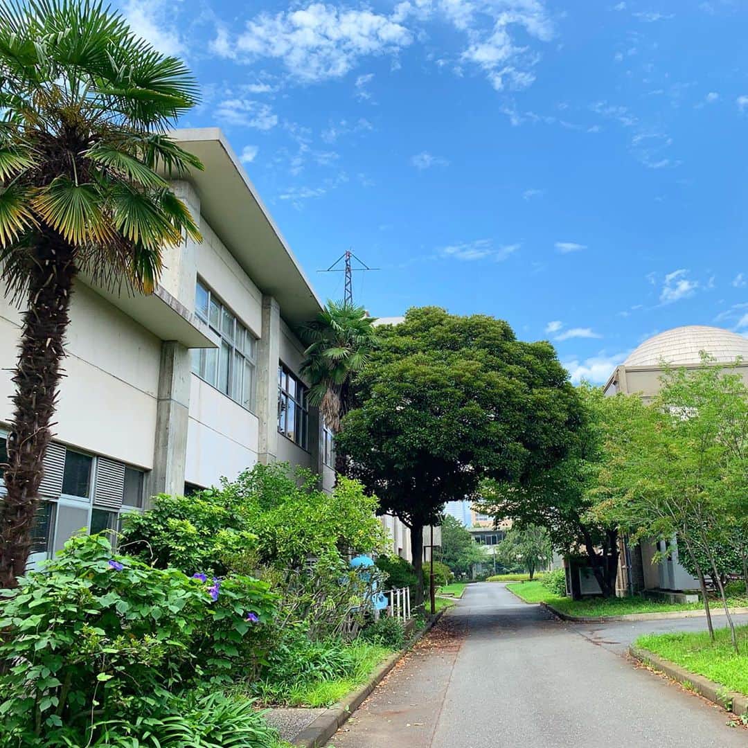 テレビ朝日 ドラマ「サイン-法医学者 柚木貴志の事件-」さんのインスタグラム写真 - (テレビ朝日 ドラマ「サイン-法医学者 柚木貴志の事件-」Instagram)「﻿ 昨日は6話で登場の #渋谷謙人 さんが﻿﻿ アイスを差し入れてくださいました🍦✨﻿﻿ 暑い夏のロケでは、最高の差し入れ😂﻿﻿ みんなでアイス休憩です❗️﻿﻿ ﻿﻿ #サイン #第3話 #放送まであと3日﻿﻿ #渋谷謙人 #飯豊まりえ﻿﻿ #テレビ朝日 #テレ朝ドラマ #夏クール﻿﻿ #アイス #夏はアイス #差し入れ #夏ロケ」7月29日 19時48分 - sign.2019