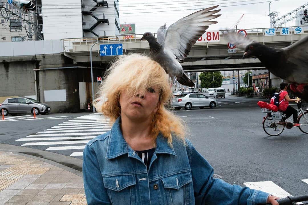 Q. Sakamakiさんのインスタグラム写真 - (Q. SakamakiInstagram)「Shinsekai near Kamagasaki, Osaka, as the area has been facing super gentrification. #tsutenkaku_tower #tsutenkaku #shinsekai #nishinari #gentrification #osaka  #pigeon」7月29日 20時21分 - qsakamaki