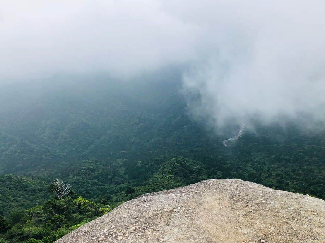 本田翼さんのインスタグラム写真 - (本田翼Instagram)「⛰ 高いところにぶるぶるしてる人と 余裕のある人。 最近急に高所がこわくなりました、 どうしてなのでしょうか。  #屋久島旅」7月29日 20時46分 - tsubasa_0627official