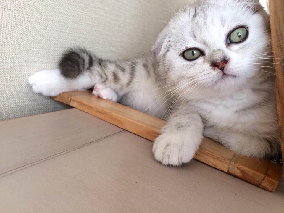 Haruのインスタグラム：「Good morning #tb #พี่รุฉามเดือน #หน้าตึงอะไรๆก็ดี」